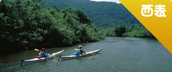 西表島